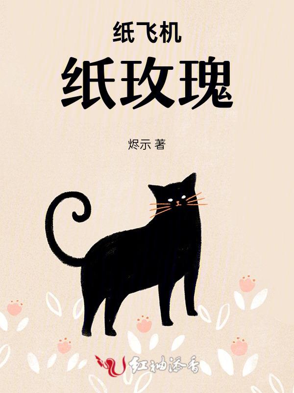 纸飞机漂亮折法