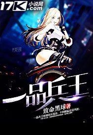 一品兵王全集