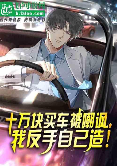 十万块买车被嘲讽