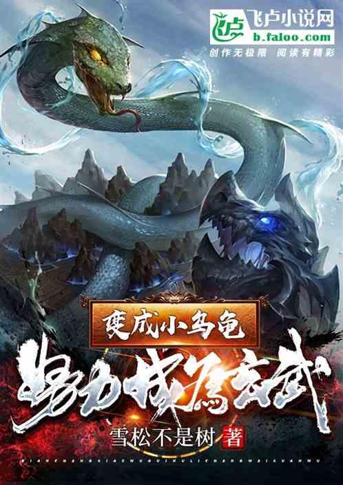 变成了一只乌龟的