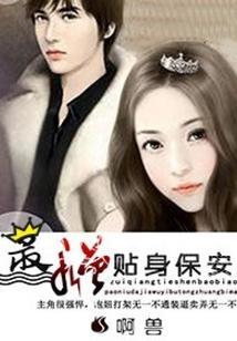 超级贴身保安