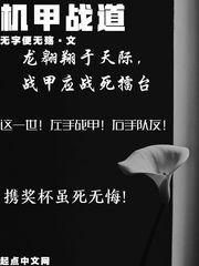 机甲战痞