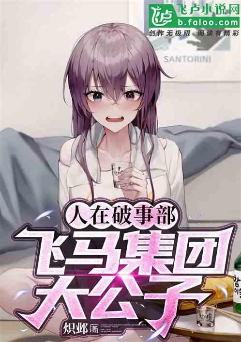 飞马公司