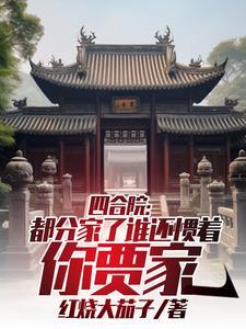 四合院重生贾家