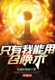 只有我能用召唤术第二季