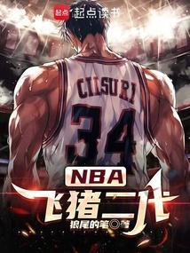 nba飞猪二代
