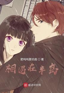 相遇在半岛TXT
