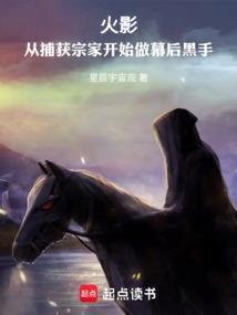火影从捕获宗家开始做幕后黑手起点