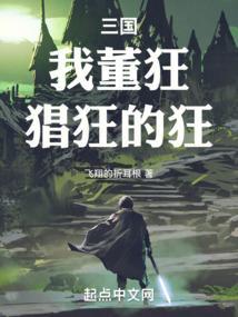 三国我董太师之子