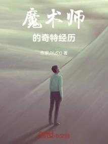 魔术师的奇遇完整版