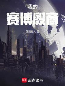 我的赛博朋克