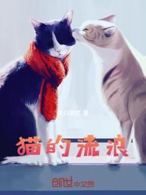 猫的流浪电影