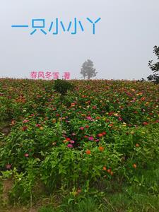 小小一只呀