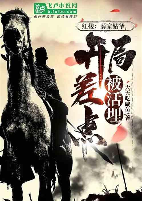 红楼薛家姑爷