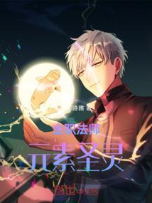 全职法师元素圣灵等级