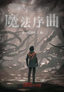哈利波特魔法觉醒oppo渠道服