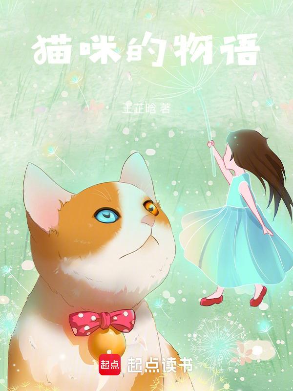 猫咪物语纪录片