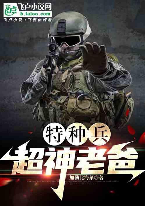 超级特种兵奶爸