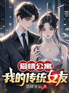 爱情公寓之我的女友是胡一菲