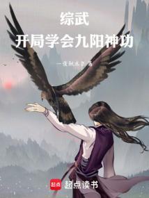 武侠开局九阳