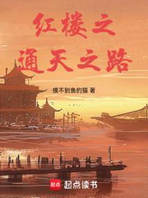 红楼之红楼行