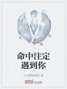 命中注定遇到你电视剧免费观看