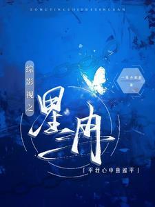 综影视平执念笔尖网