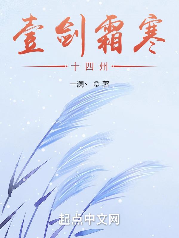 一剑霜寒十四州全诗意思