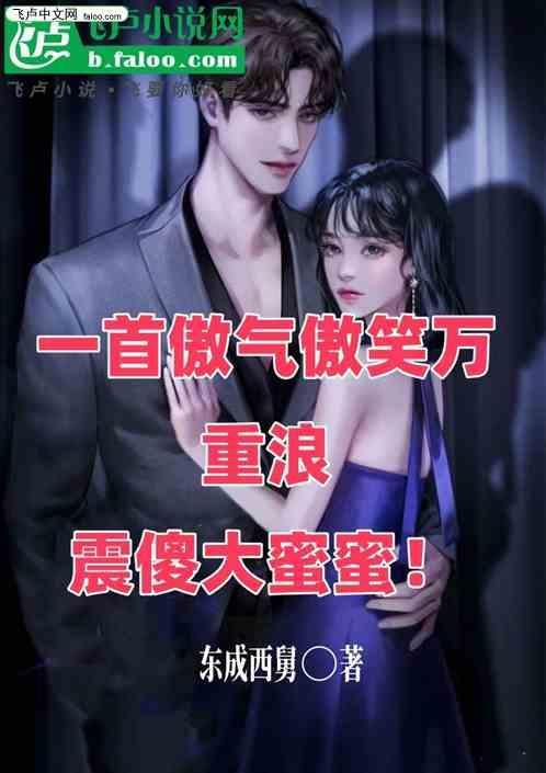 傲气傲笑万重浪歌词版