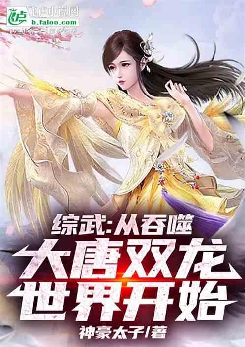 综武侠含有大唐双龙传