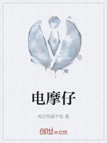 电摩仔偷卡钳