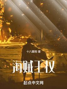 海贼王权利结构