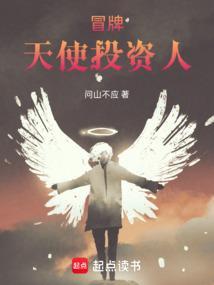 冒牌天使投资人免费