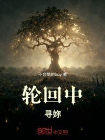轮回dl