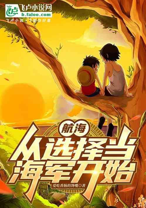 海贼从海军大将开始神级选择