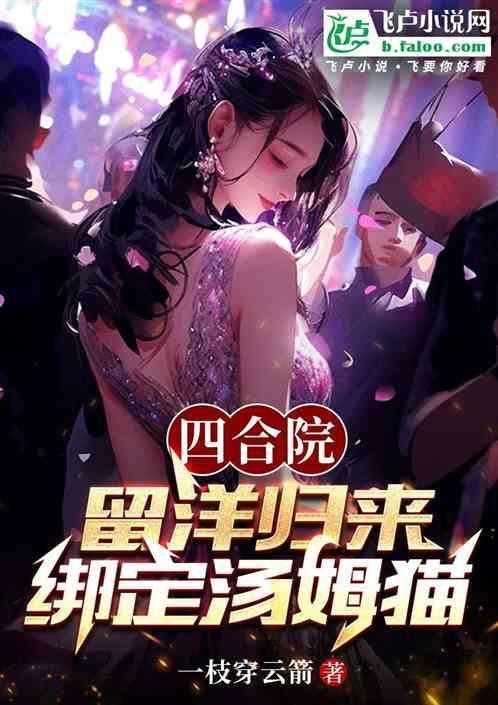 四合院玩家