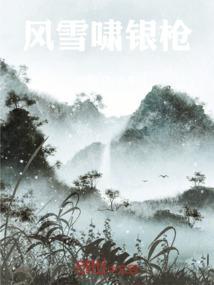 风雪枪是谁的武器