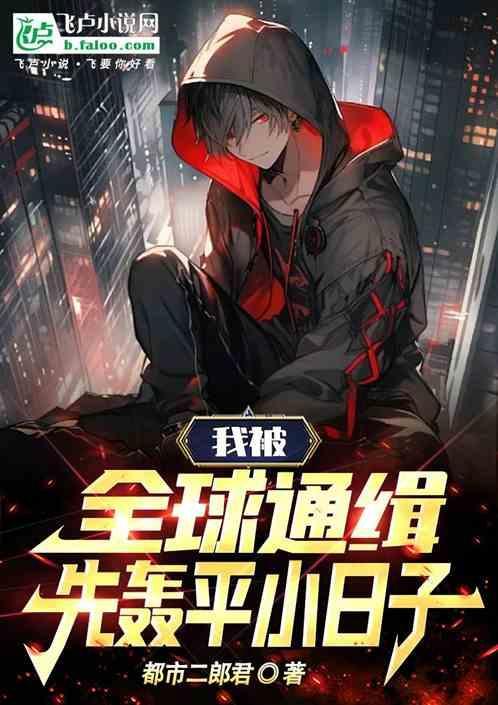 被全球通缉了怎么办