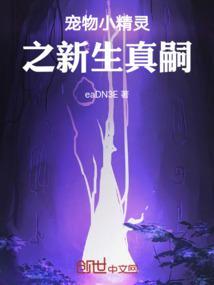 宠物小精灵新篇