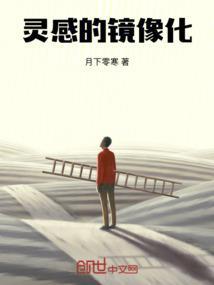 镜像装置艺术是什么原理