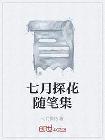 7天的探花