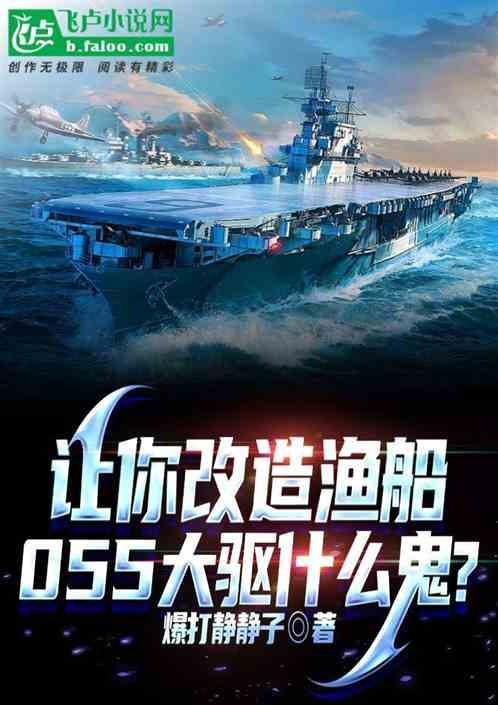 055大驱简介