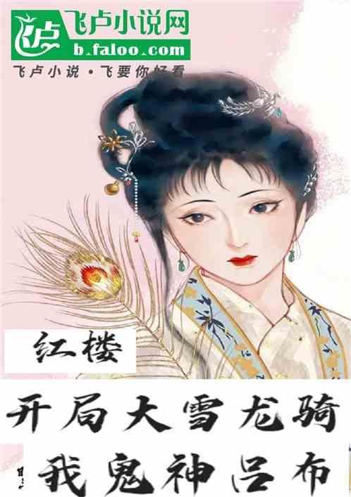 红楼开局霸王之力