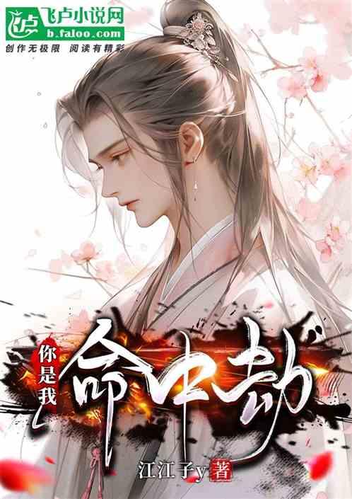 你是我命中的劫数歌词