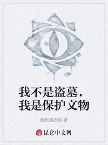 我不是盗墓