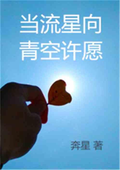 向流星许个愿下一句是什么