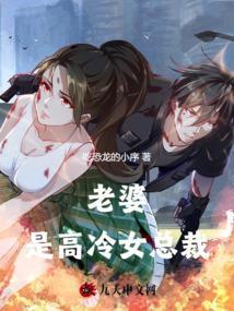 老婆是高冷女总裁4集