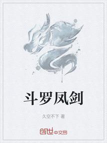 斗罗风剑宗宗主