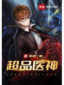 超品医圣