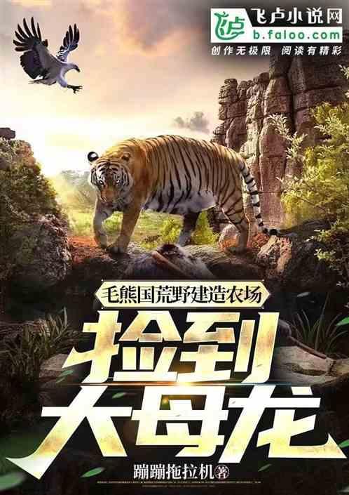 毛毛熊111